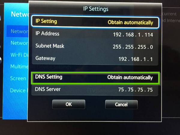 Samsung network ip settings showing dns setting highlighted