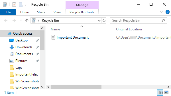 Windows Explorer showing Recycle Bin contents.