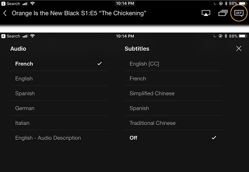 Netflix audio and subtitles