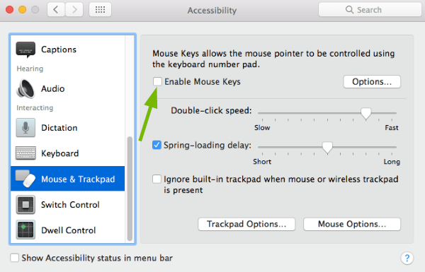 Enable Mouse Keys toggle box pointed out in Accessibility Preferences in macOS.