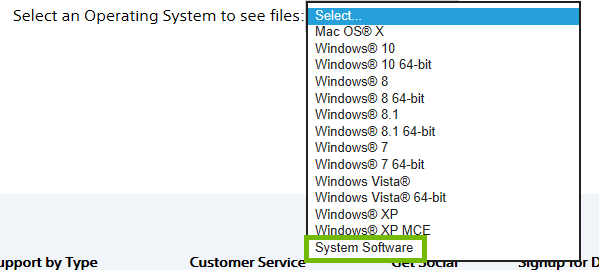 Choices offered for operating system with system software highlighted.