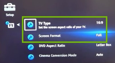 Screen settings with TV Type and Screen Format highlighted.