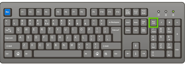 A num lock key circled on the keyboard