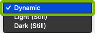 Type choice with Dynamic highlighted.