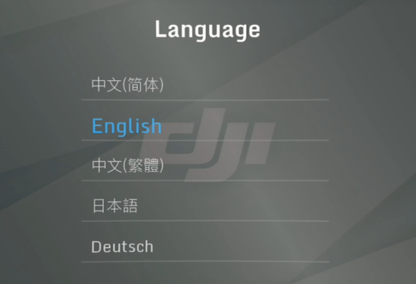 Language selection screen in goggles menu.