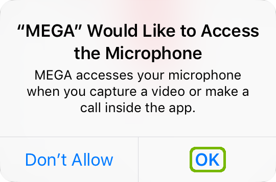 Mega Microphone access request with OK highlighted.