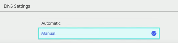 Nintendo switch dns set to manual