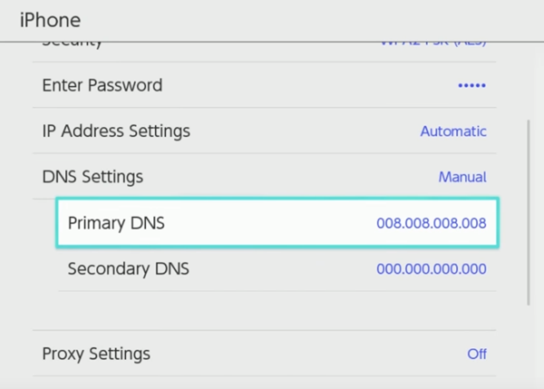 Nintendo switch primary dns