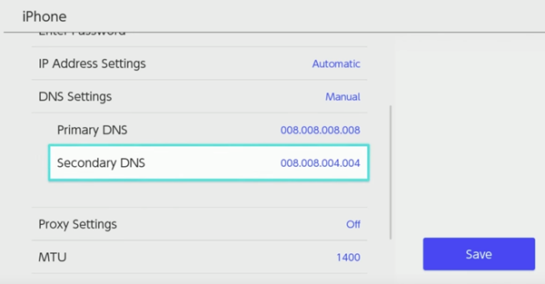 Nintendo switch secondary dns