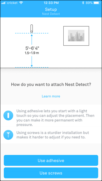 Nest Detect setup