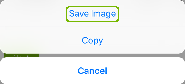 Image menu with Save Image highlighted.
