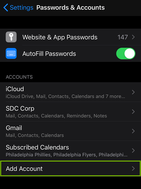 Passwords & Accounts screen highlighting the add account button.