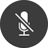 FaceTime mute button