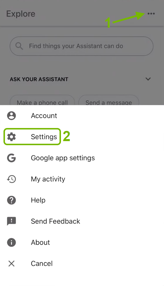 More option pointed out and Settings highlighted in Google Assistant app.