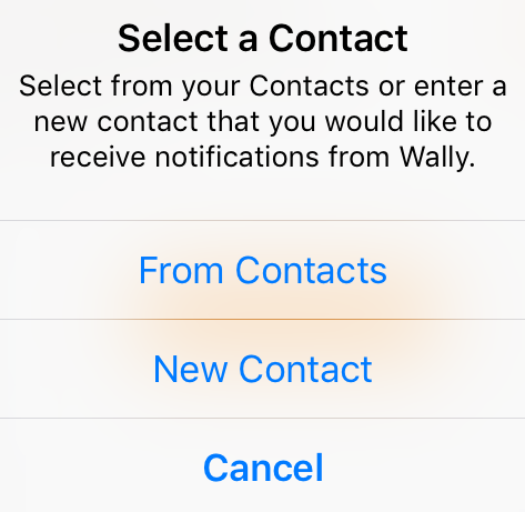 Create contact options