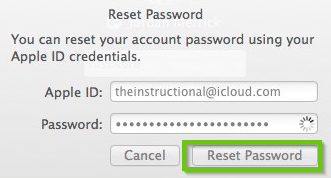 Apple ID reset password