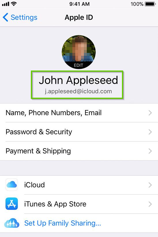 Apple ID screen on iPhone