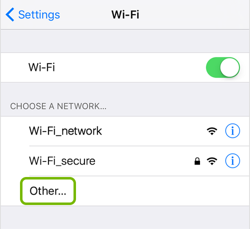 Other highlighted in Wi-Fi network list of iOS settings.
