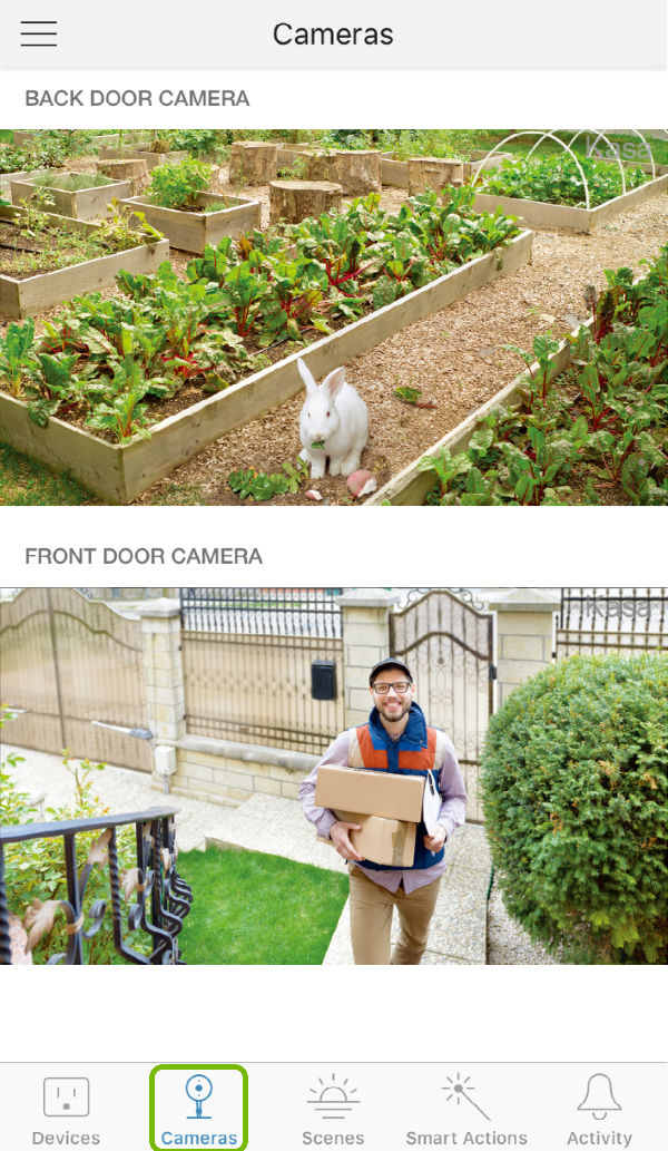 Cameras tab highlighted in Kasa Smart app.