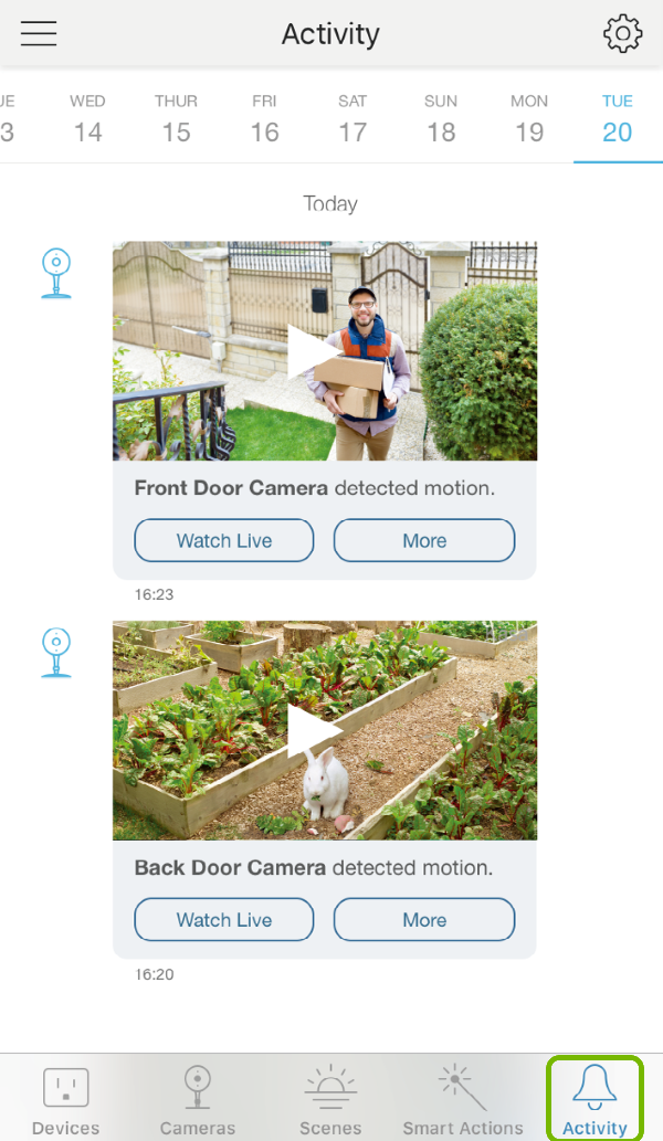 Activity tab highlighted in Kasa Smart app.
