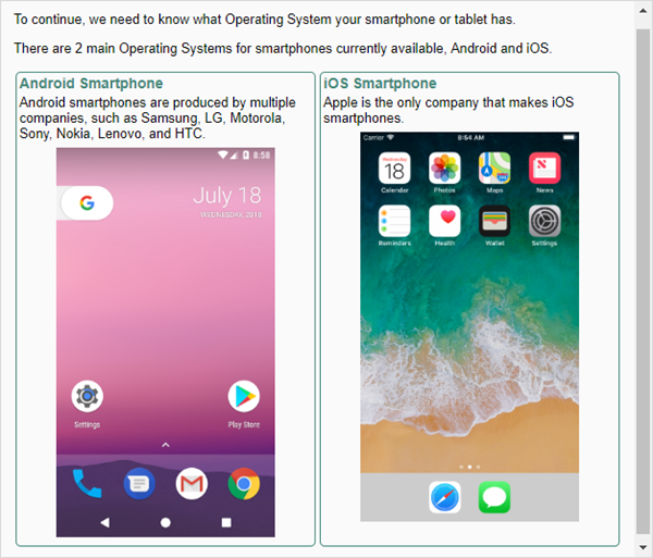 Mobile device OS choice.