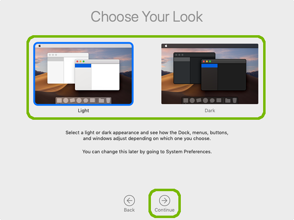Choose Your Look with continue highlighted.