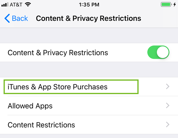 iTunes and App store purchases