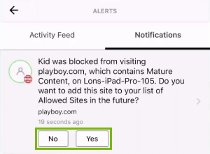 Notification with prompt to allow or block it