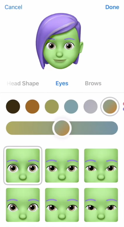 Memoji customization screen on iOS.