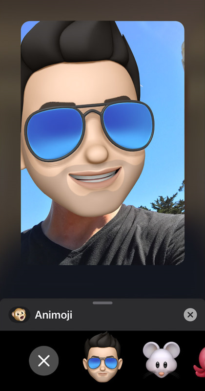Memoji selection screen in FaceTime on iOS.