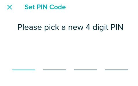 Waiting for a new pin