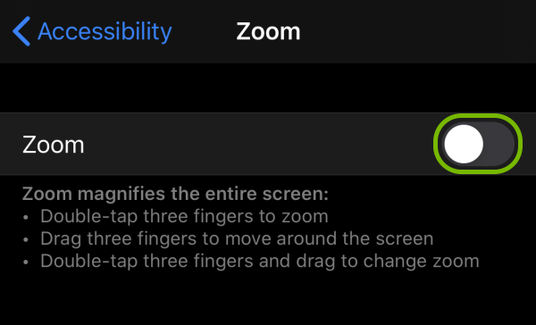 Toggle switch highlighted for Zoom feature in iOS settings.