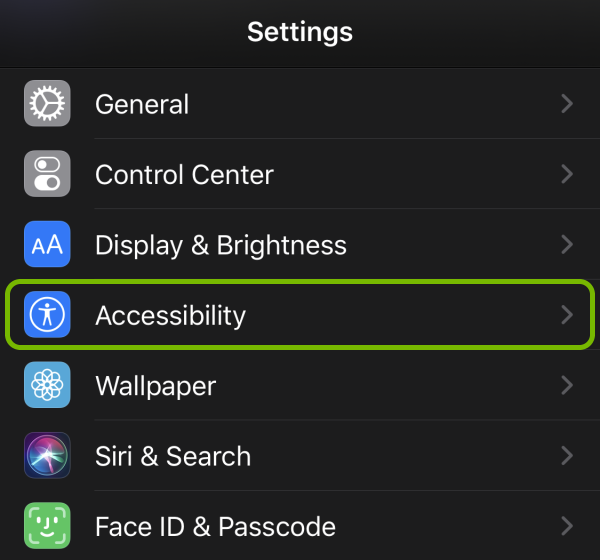 Accessibility option highlighted in iOS settings.