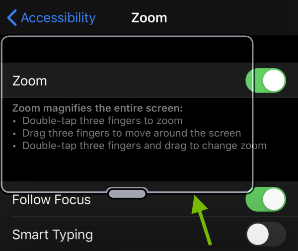 Zoom window edge pointed out on iOS screen.