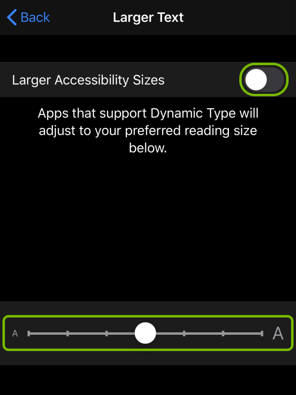 Toggle switch and slider highlighted for Larger Text option in iOS settings.