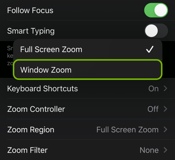 Window Zoom option highlighted in Zoom settings on iOS.