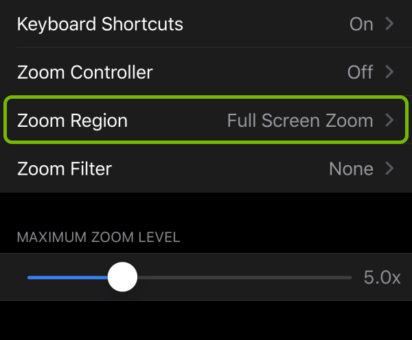 Zoom Region option highlighted in accessibility settings on iOS.