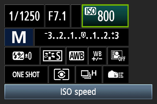 Digital camera ISO setting.
