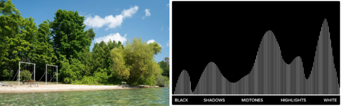 Histogram showing tones spread across histogram for correctly exposed photo.