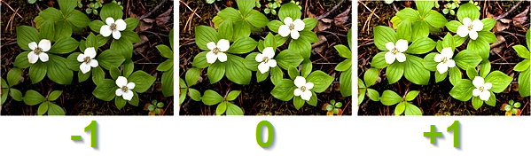 Same photo with different Exposure Values.