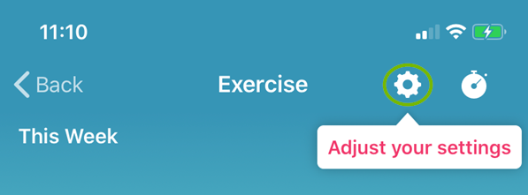 The settings wheel under exercises