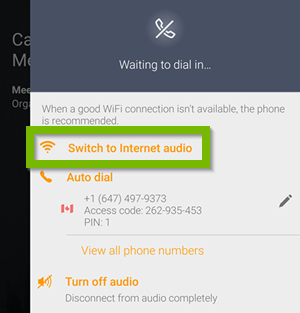 switch to internet audio
