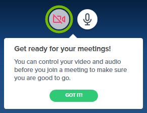 Camera turned off in BlueJeans app.
