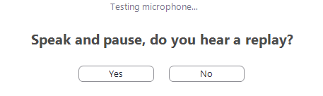 The yes or no answers for testing the microphone