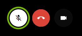 Mute button highlighted in Google Hangouts.