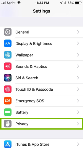 iOS privacy tab