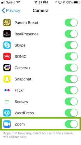 Zoom's permissions are green