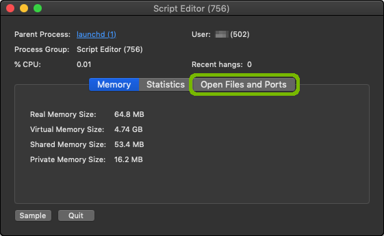 Process information with Open Files and Ports highlighted.