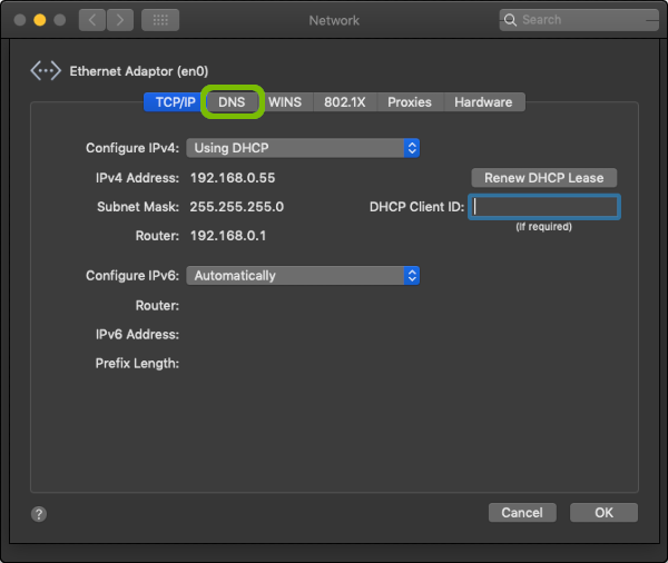 Advanced Network Preferences with DNS tab highlighted.