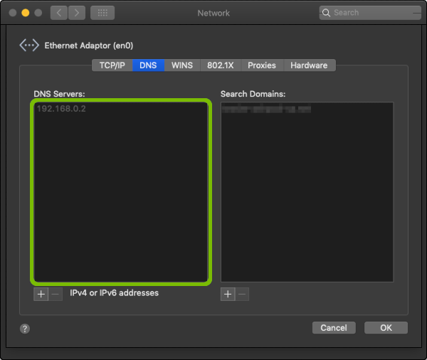 Advanced Network Preferences DNS tab with DNS servers highlighted.